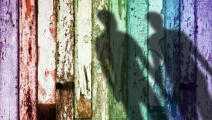 rainbow fence