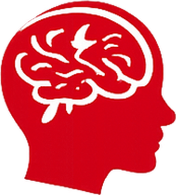 Brain